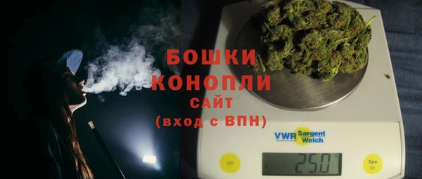 шишки Алзамай