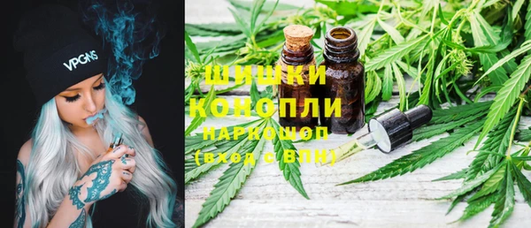 шишки Алзамай