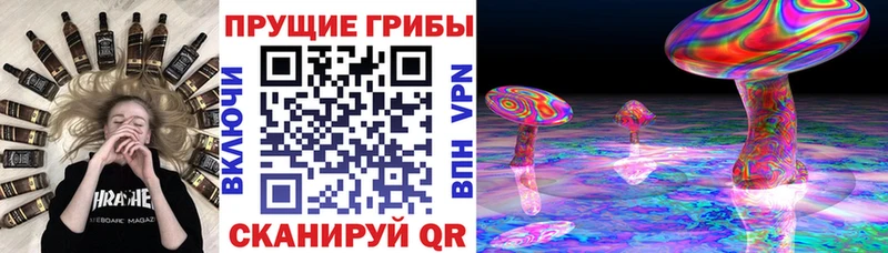 Псилоцибиновые грибы ЛСД где найти Солнечногорск